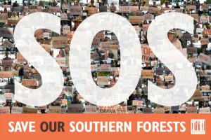 Save our Southern Forests