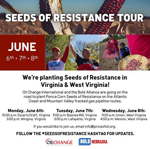 seeds-of-resistance