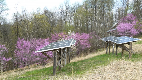 Renewable energy is sprouting up all over WV. A little leadership could accelerate our state's transition to the new energy future. Photo by V. Stockman.