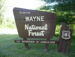 wayne-national-forest