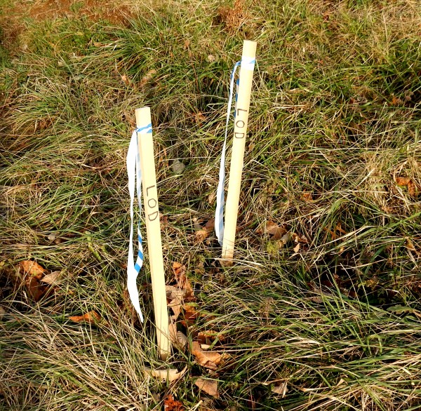 LoD means limits of disturbance. Beyond this point, no trees should be cut, nor dirt moved. The stakes shown here indicate that this is the outside limit of where the contractor will be disturbing the original contour of the surface.