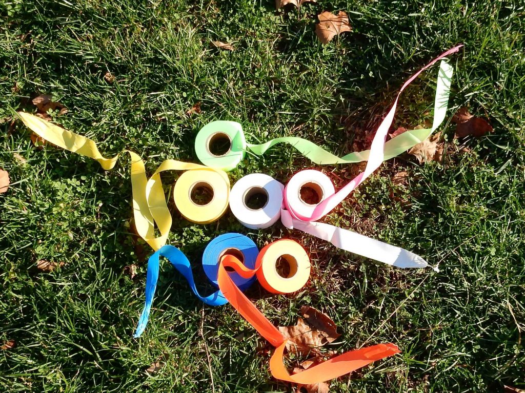 Surveyor Signs and Symbols