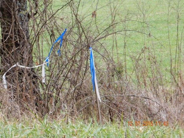 Simple surveyor’s flags or tape. Sometime the flags or streamers are attached to trees, fence posts or put on a stake to make them visible above the weeds. There might be no markings on the stake or only simple generic markings. This could mean that this is the correct road and turn here; or it could be a proposed or approximate location for some future work.
