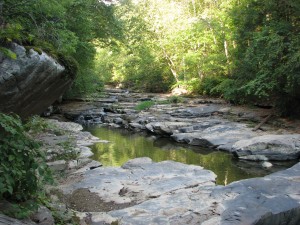 wv stream