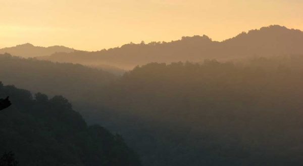 WV's mountains celebrated on International Mountain Day. Photo by Vivian Stockman/OVEC