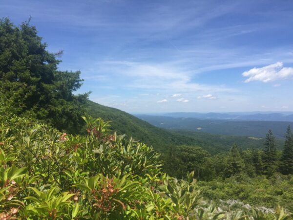 View of Dolly Sods