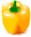 drawing of a yellow pepper