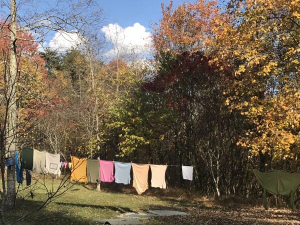 colorful t shirts on a clothesline with autumn trees